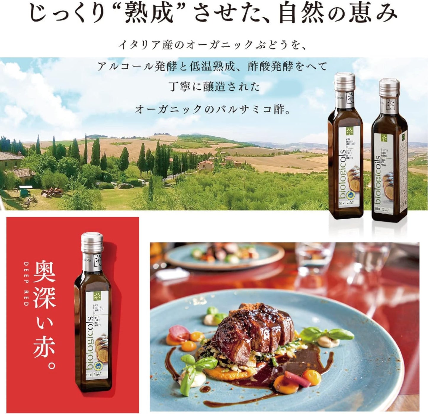 モデナ産 有機バルサミコ酢 IGP・赤 (地理的表示保護認定商品、地元イタリアの伝統製法、保存料・添加物不使用、酸味と甘みが絶妙、ドレッシングに最適、お肉や魚料理にも)