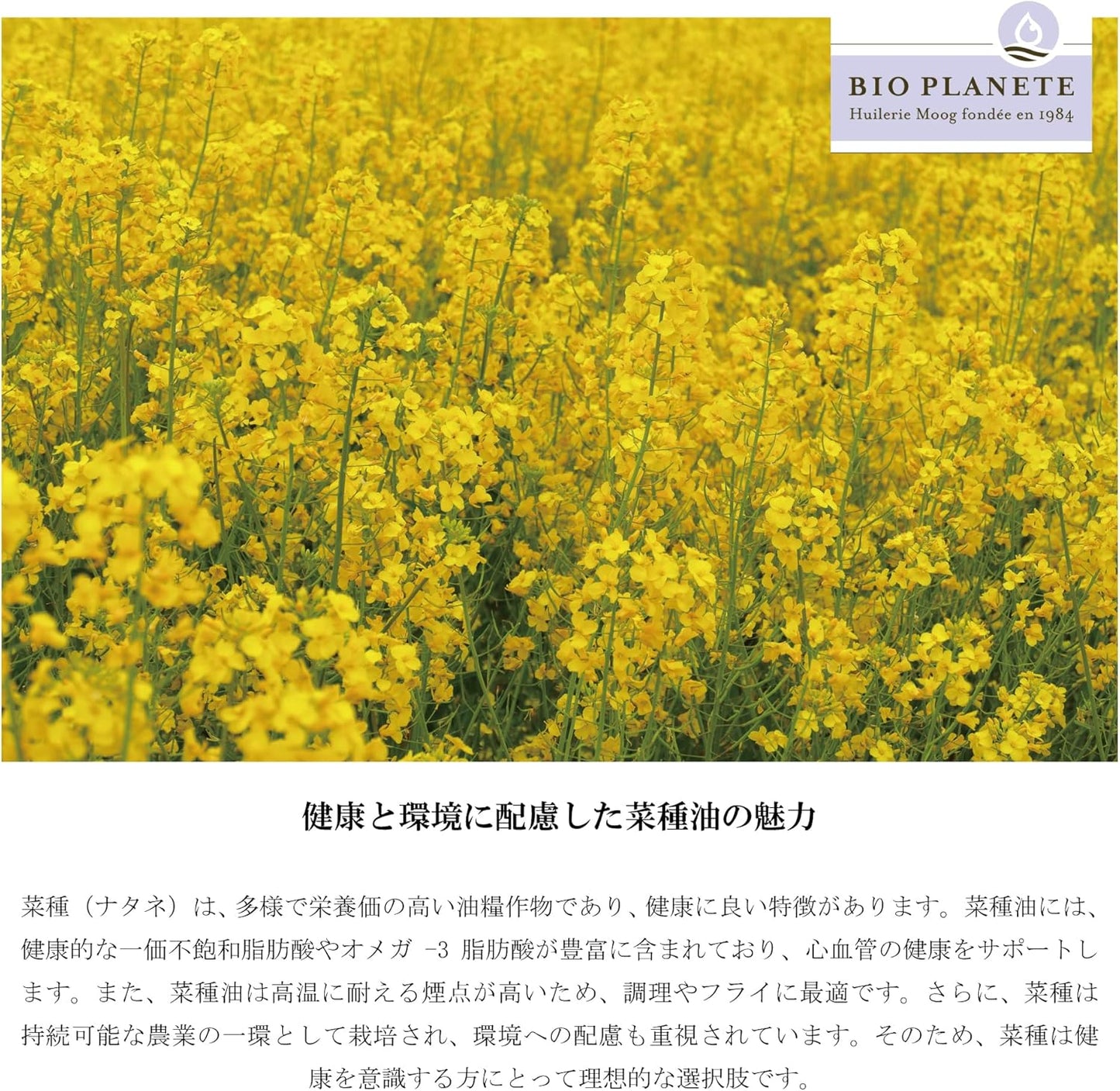 有機なたね油 ・無香タイプ・ 1L (ドイツ産又はオランダ産、低温圧搾、有機JAS認証、焼くや煮物には最適、なめらか、菜種油)